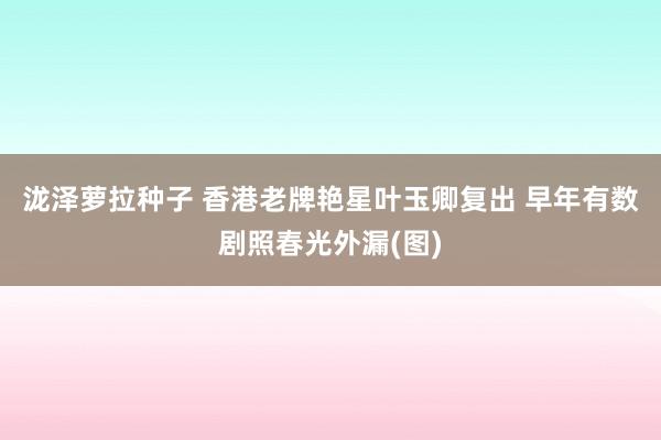 泷泽萝拉种子 香港老牌艳星叶玉卿复出 早年有数剧照春光外漏(图)