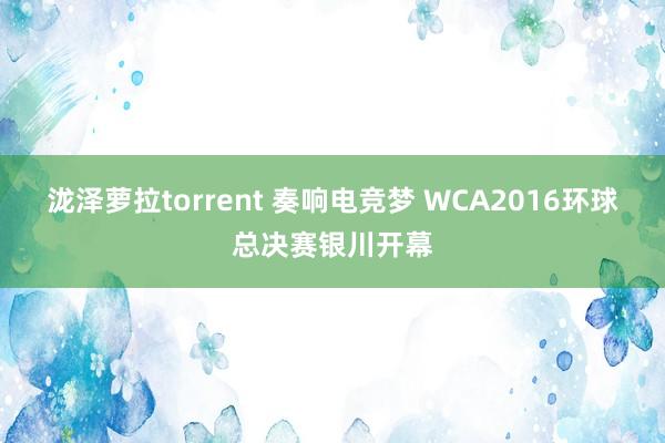 泷泽萝拉torrent 奏响电竞梦 WCA2016环球总决赛银川开幕